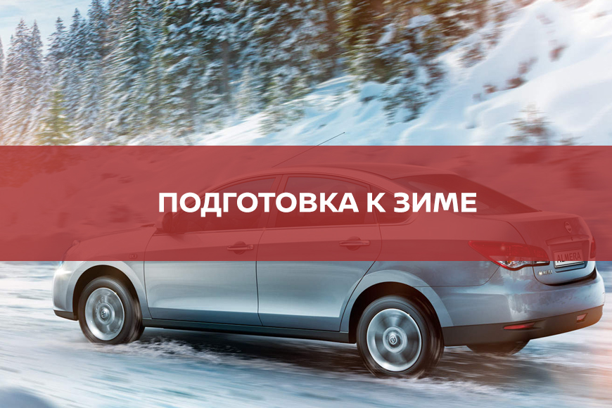 Подготовка к зиме